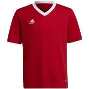 Lyhythihainen t-paita adidas  Entrada 22 Jsy  EU S