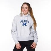 Svetari Champion  115110EM004LOXGM  EU S