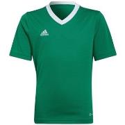 Lyhythihainen t-paita adidas  Entrada 22  EU S