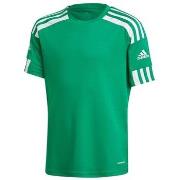 Lyhythihainen t-paita adidas  Squadra 21  EU M