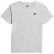 Lyhythihainen t-paita 4F  JTSM001  Yksi Koko