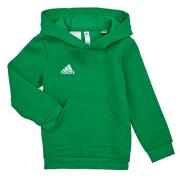Svetari adidas  ENT22 HOODY Y  EU S