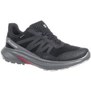 Kengät Salomon  Hypulse Gtx  48