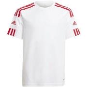 Lyhythihainen t-paita adidas  JR Squadra 21  EU S