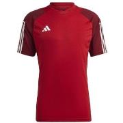 Lyhythihainen t-paita adidas  Tiro 23 Competition  EU M