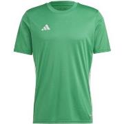 Lyhythihainen t-paita adidas  Tabela 23 Jersey  EU XXL