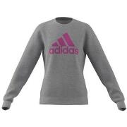 Svetari adidas  Big Logo JR  EU L