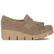 Kengät Maciejka  0606104001  40