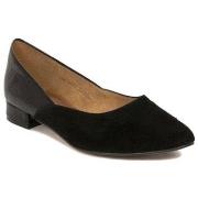 Korkokengät Maciejka  4477A01005  36