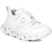 Kengät Maciejka  0497811005  40