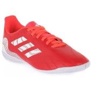 Kengät adidas  Copa Sense 4 IN J  37 1/3