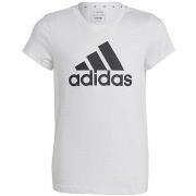 Lyhythihainen t-paita adidas  Big Logo Tee Jr  EU S