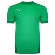 Lyhythihainen t-paita Puma  Teamgoal 23 Jersey  EU S