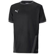 Lyhythihainen t-paita Puma  Teamgoal 23 Jersey  EU S