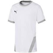 Lyhythihainen t-paita Puma  Teamgoal 23 Jersey  EU S