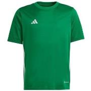 Lyhythihainen t-paita adidas  Jersey Jr  EU S