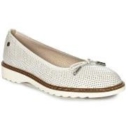 Kengät Maciejka  P650911001  37