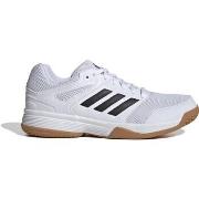 Kengät adidas  Speedcourt  38 2/3