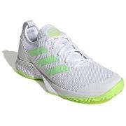 Miesten kengät adidas  Courtflash Allcourt  44