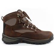 Kengät Timberland  Chocorua  41