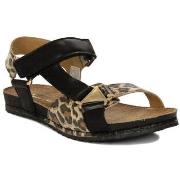 Kävelykengät Maciejka  0702620001  38