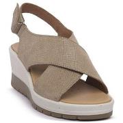 Kävelykengät IgI&CO  7664722  39