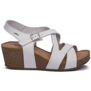 Kävelykengät IgI&CO  7699411  37