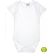 Bodyt Joyah  EPB02  6 / 12 kuukautta