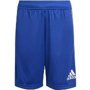 Shortsit & Bermuda-shortsit adidas  Heather  EU L