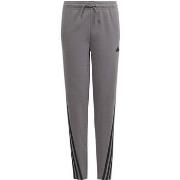 Jogging housut / Ulkoiluvaattee adidas  IS4419  EU M