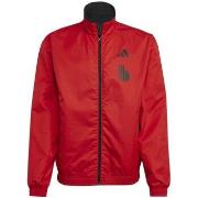 Tuulitakit adidas  Belgium Anthem  EU L