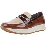 Kengät Pitillos  10901P  36