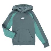 Svetari adidas  Seasonal Essentials Colorblock Fleece Hoodie Kids  11 ...