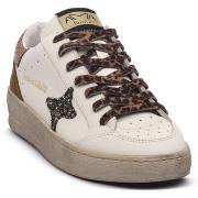 Kengät Ama Brand  SLAM  38