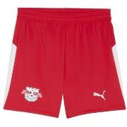 Shortsit & Bermuda-shortsit Puma  Rbl  EU XXL