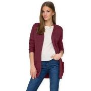 Neuleet / Villatakit Only  Noos Lesly Cardigan - Zinfandel  EU S