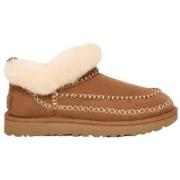 Pipot UGG  -  38