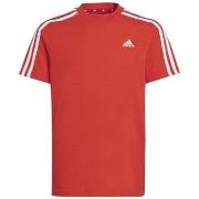 Lyhythihainen t-paita adidas  3s Tee  EU S