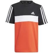 Lyhythihainen t-paita adidas  Lk 3s Tib T  EU XS