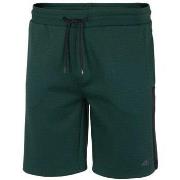 Shortsit & Bermuda-shortsit 4F  SKMD010  EU XL