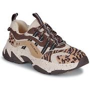 Kengät Steve Madden  ANIMATES-L  36