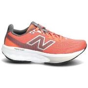 Kengät New Balance  W520  37
