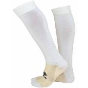 Urheilusukat Errea  Calza Con Piede Pl Adulto Poliestere  Yksi Koko