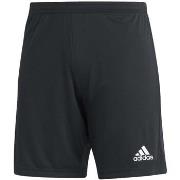 Shortsit & Bermuda-shortsit adidas  Ent22 Sho  EU XXL