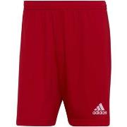 Shortsit & Bermuda-shortsit adidas  Ent22 Sho  EU XXL