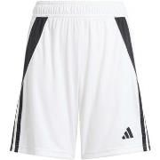 Shortsit & Bermuda-shortsit adidas  Tiro24 Sho Y  11 / 12 vuotta