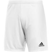 Shortsit & Bermuda-shortsit adidas  Ent22 Sho  EU XXL