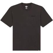 Lyhythihainen t-paita Dickies  Plentywood Ss Tee  EU L