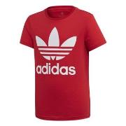 Lyhythihainen t-paita adidas  TREFOIL TEE  EU S