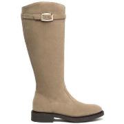 Kengät NeroGiardini  -  36